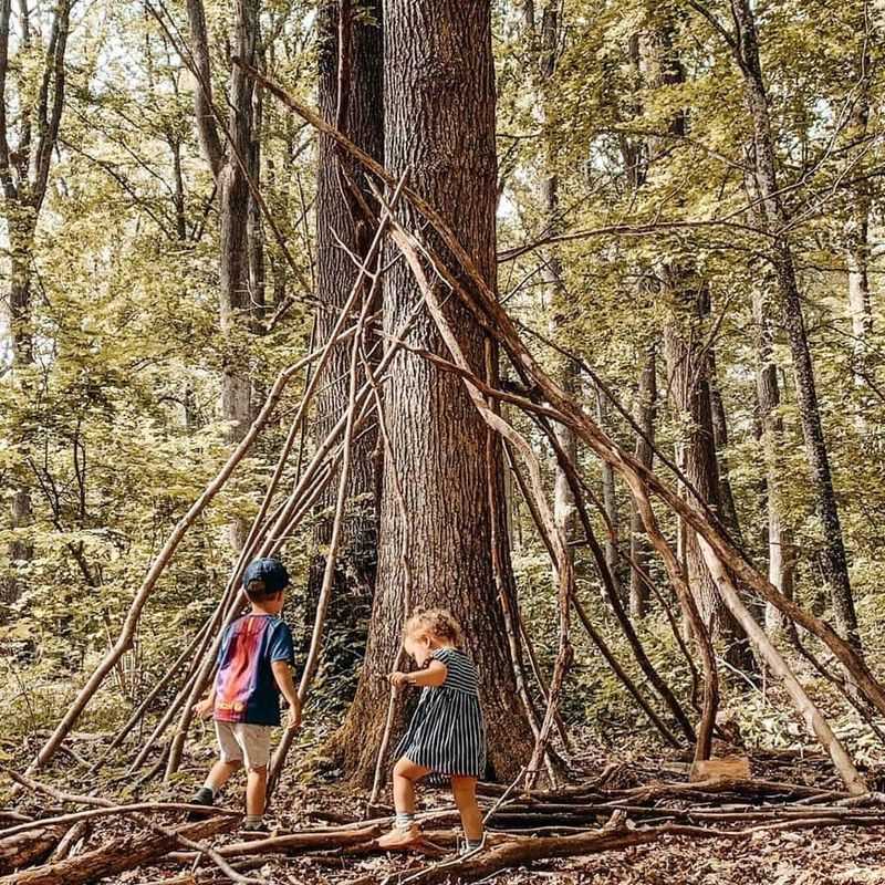 Building Forts in the Woods