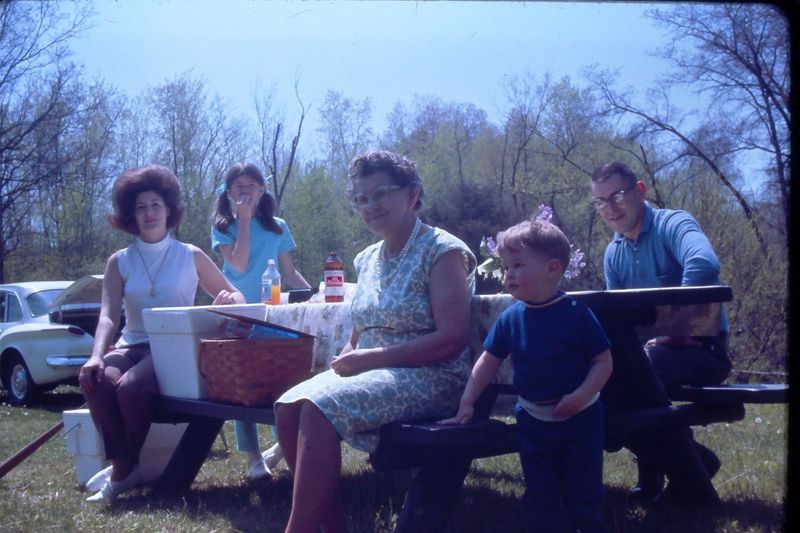 Family Picnics