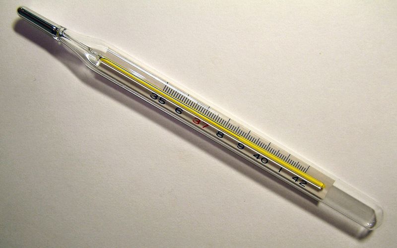 Mercury Thermometers