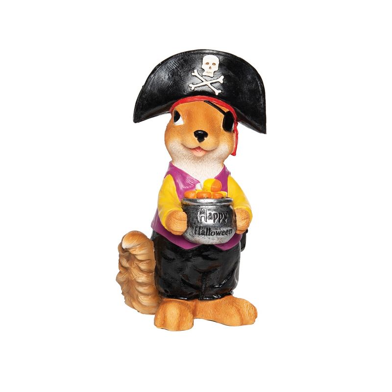 Pirate Squirrel