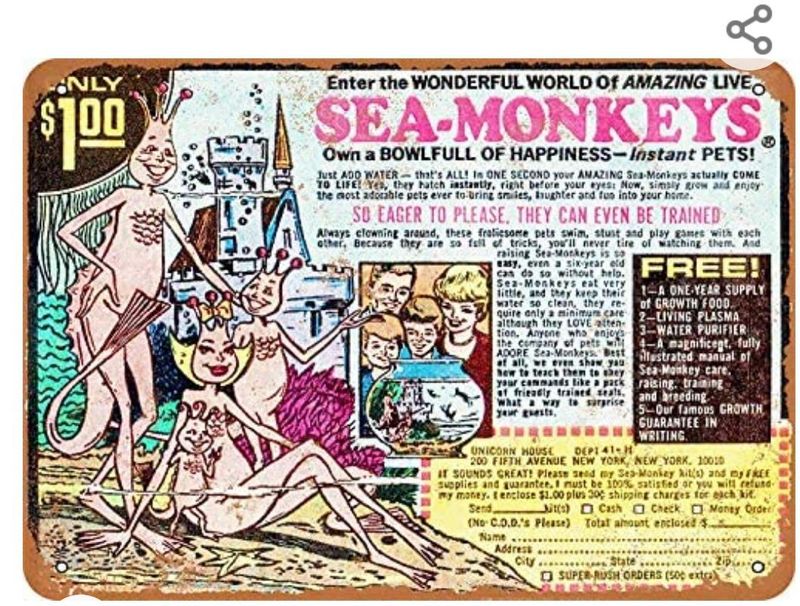 Sea Monkeys