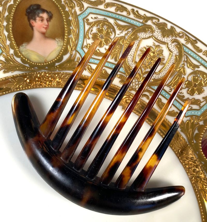 Tortoiseshell Hair Combs