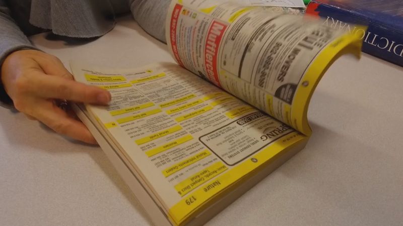 Using a Phone Book