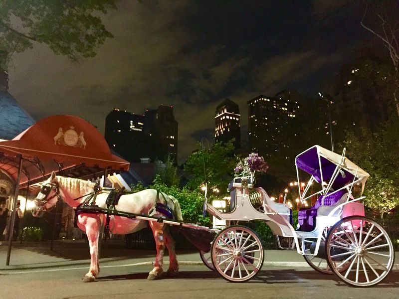 A Horse-Drawn Carriage Ride