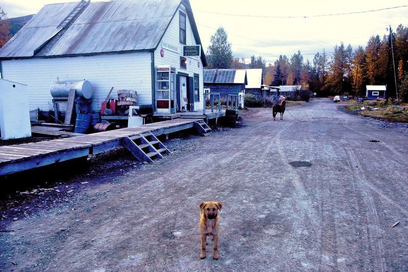 Alaska: Icy Adventures and Warm Hearts