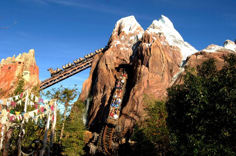 Animal Kingdom's Expedition Everest