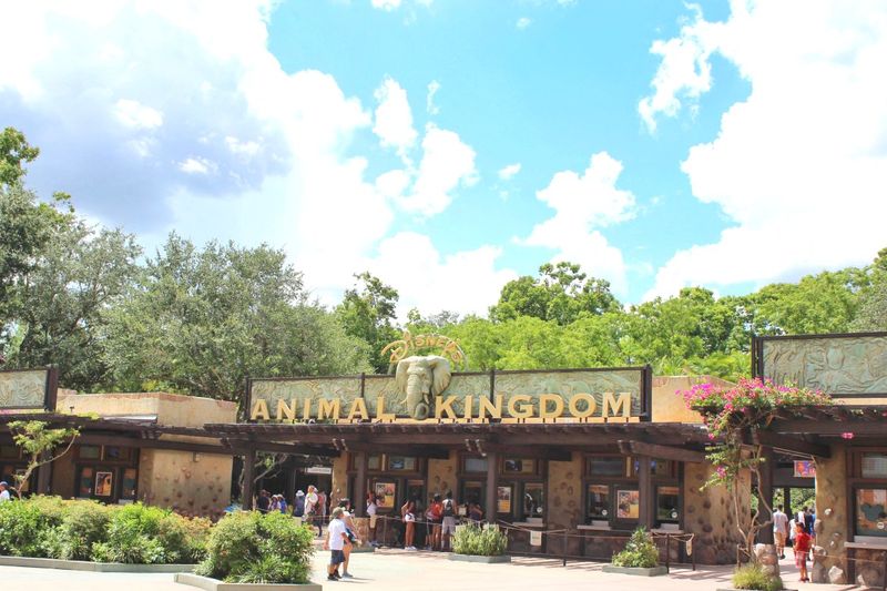 Animal Kingdom's Grand Opening