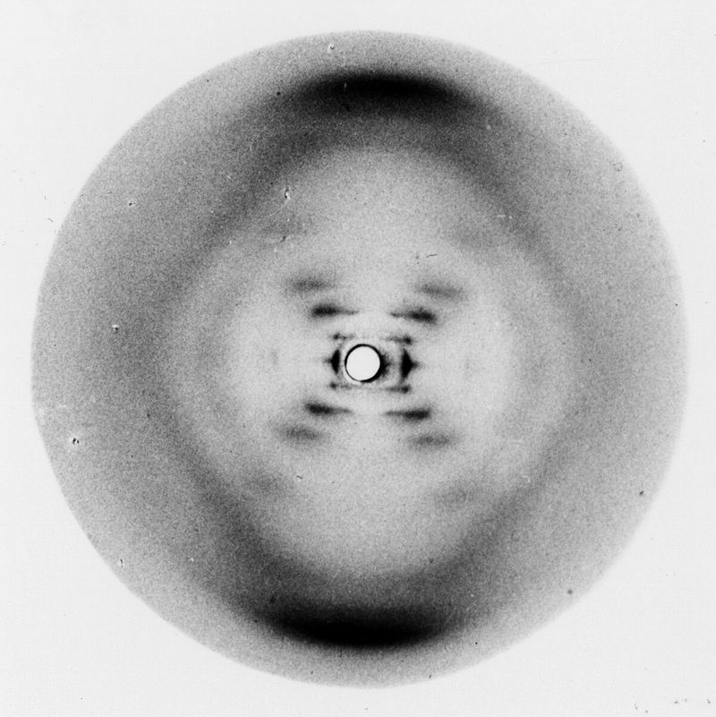 First Photograph of DNA