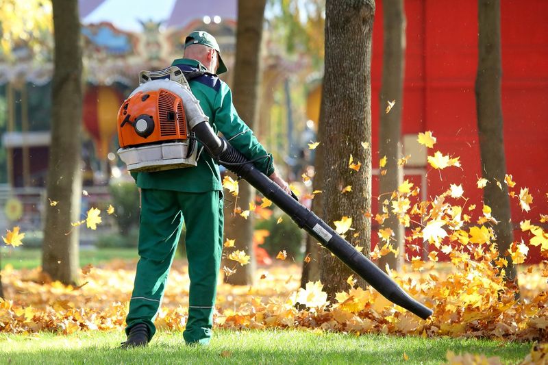 Gas-Powered Leaf Blowers