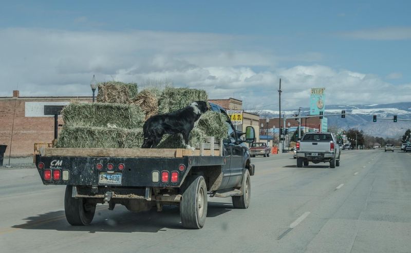 Montana: Big Sky and Cowboy Tales