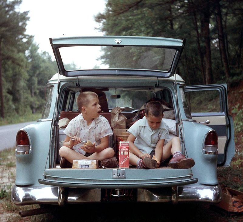 Riding in the Back of a Station Wagon Like a Pack of Stray Dogs