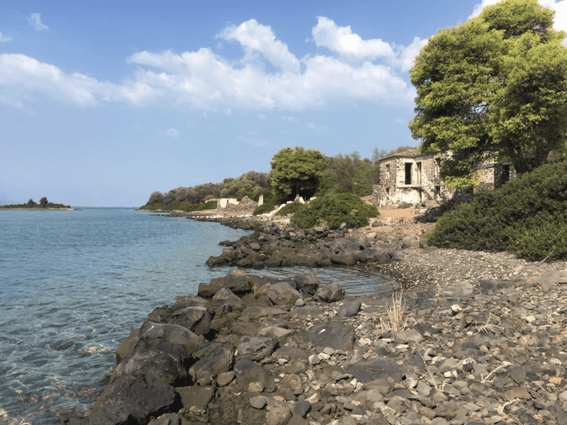 The Beatles Almost Bought Their Own Island (1967)