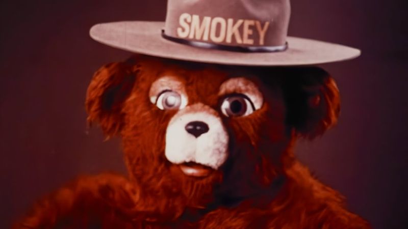 The Creepy Smokey Bear Ad