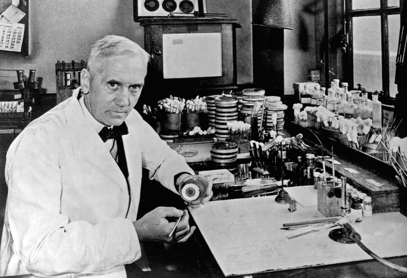 The Discovery of Penicillin