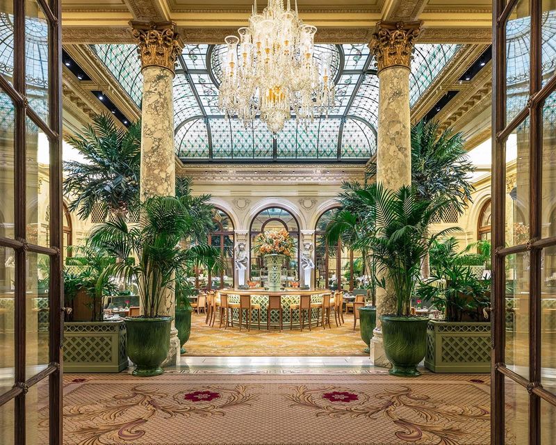 The Iconic Palm Court