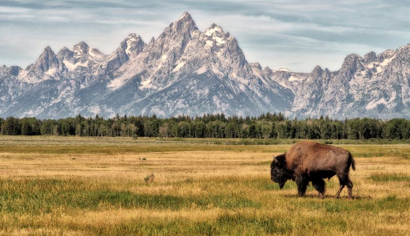 Wyoming: Ranch Life and Frontier Dreams