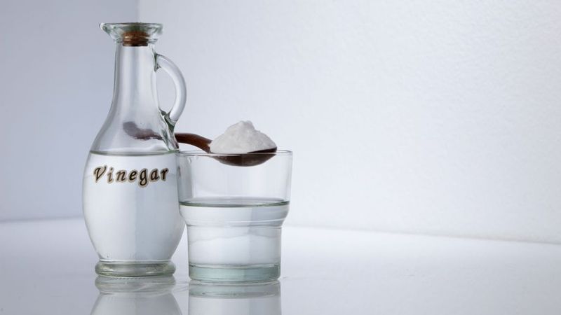 Using Vinegar for Just About Everything