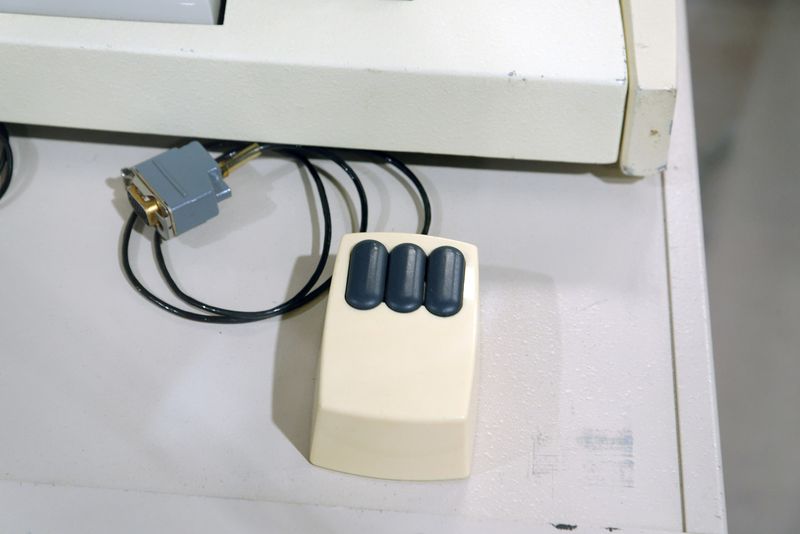 The Computer Mouse Gains Popularity (1981)