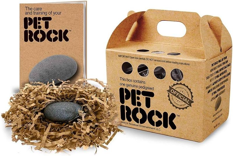 The Iconic Pet Rock