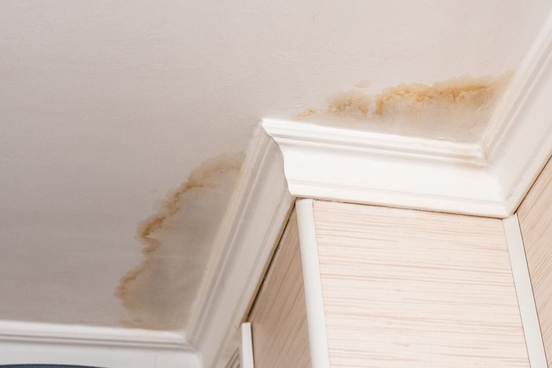 A Mysterious Stain Nobody Talked About