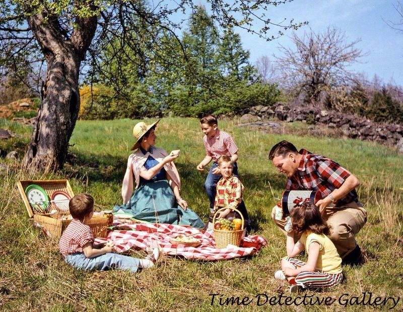 Classic Family Picnic