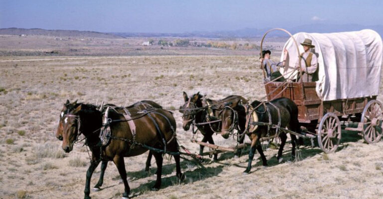 18 Incredible Vintage Photos Of Wagons That Rolled Through Time