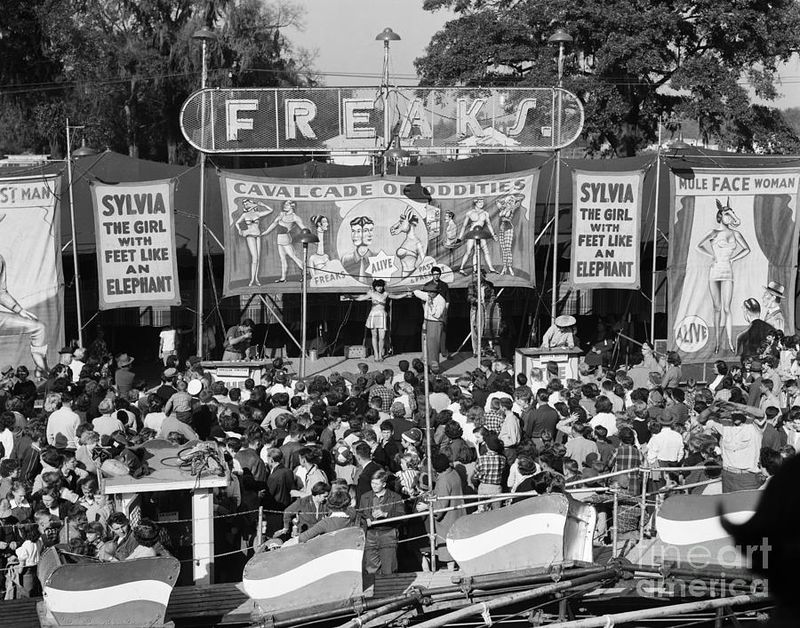 County Fairs