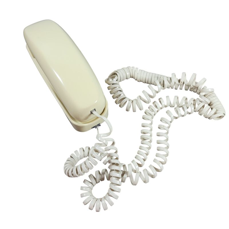 The Shower Telephone