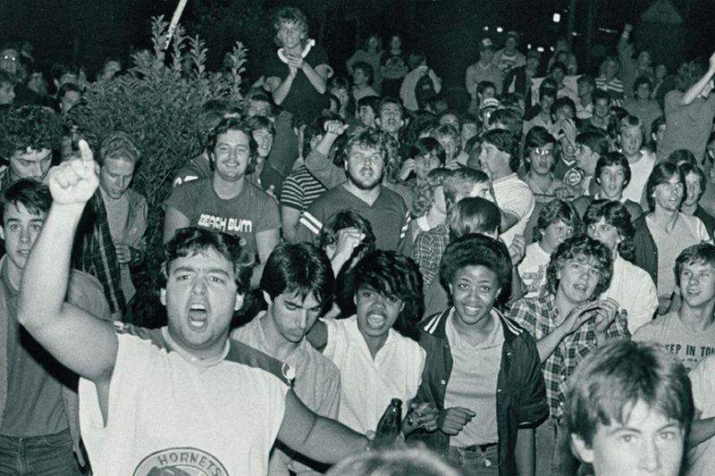 Festival Frenzy