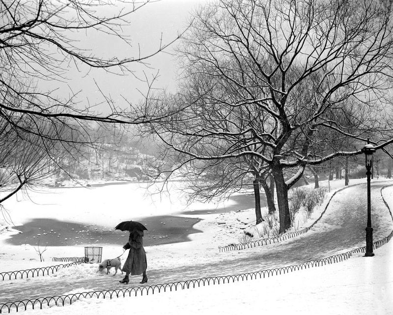 Central Park in Winter