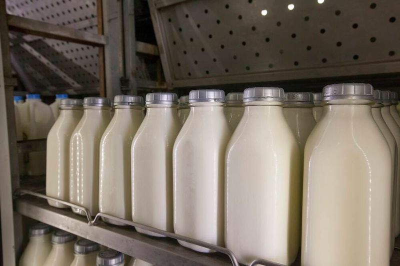 Unpasteurized Milk Products