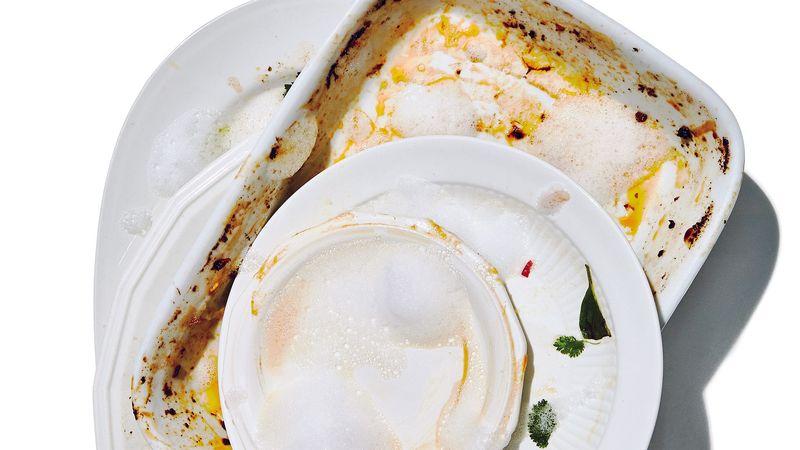 Dirty Dishes Growing Ecosystems