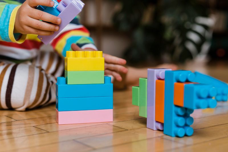 LEGO Bricks