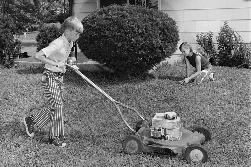 Children Performed Chores Without Allowance