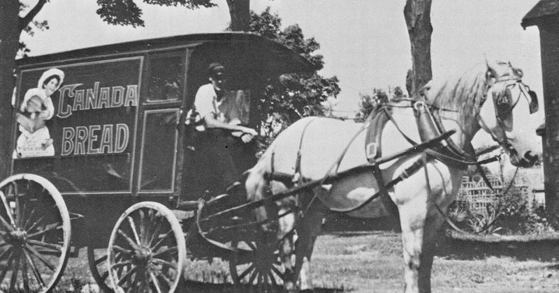 Bread Wagon: The Baker's Delight