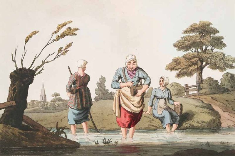 Leech Collector