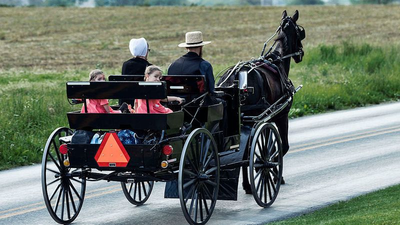Amish Buggy: The Traditional Transport