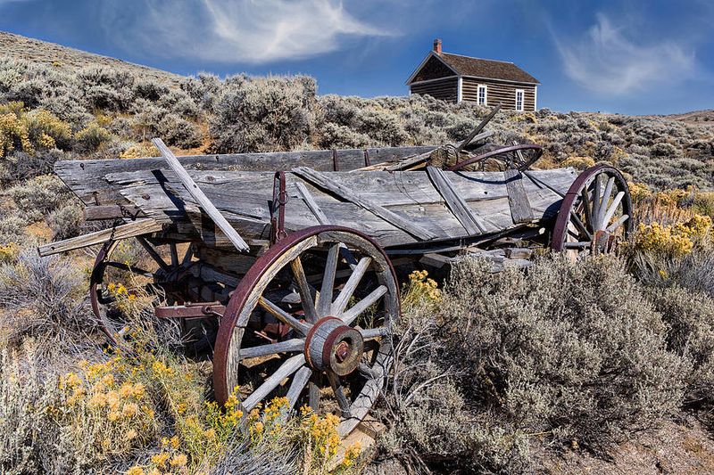 Farm Wagon: The Agricultural Workhorse