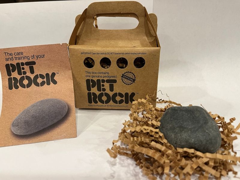 Pet Rock Accessories