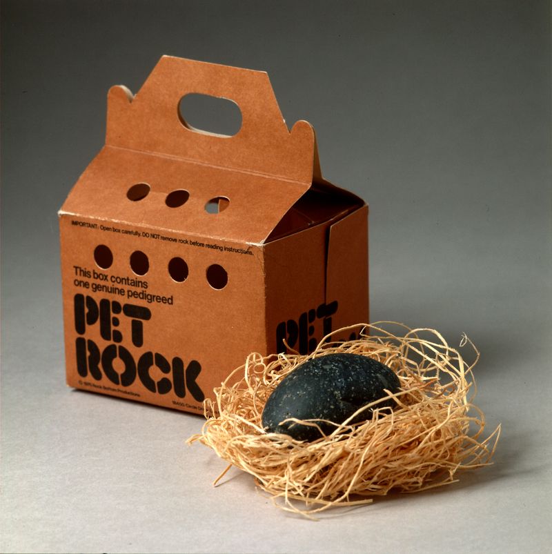 The Pet Rock Fad