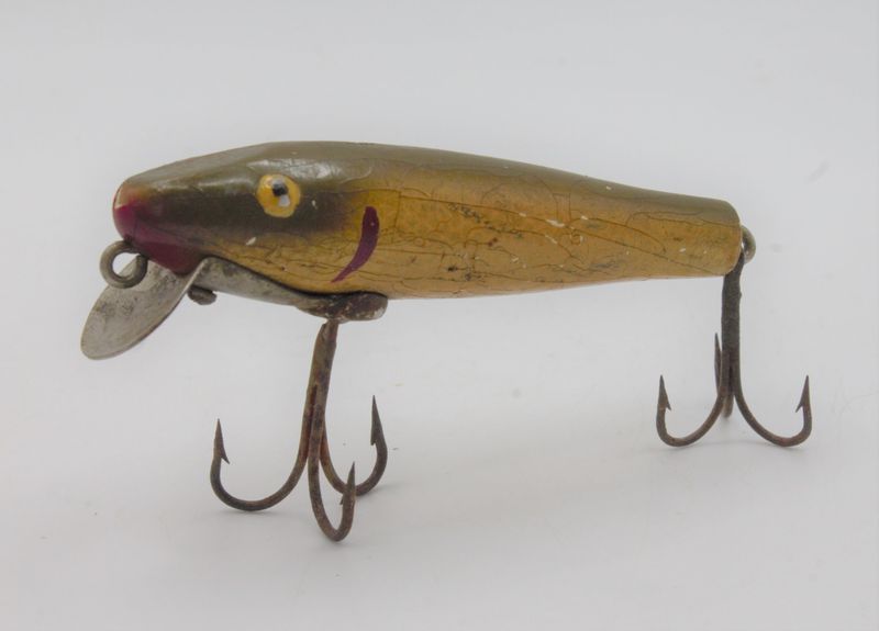 The Electronic Fishing Lure