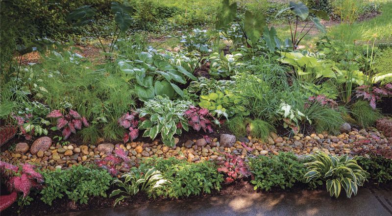 The Automatic Plant Waterer