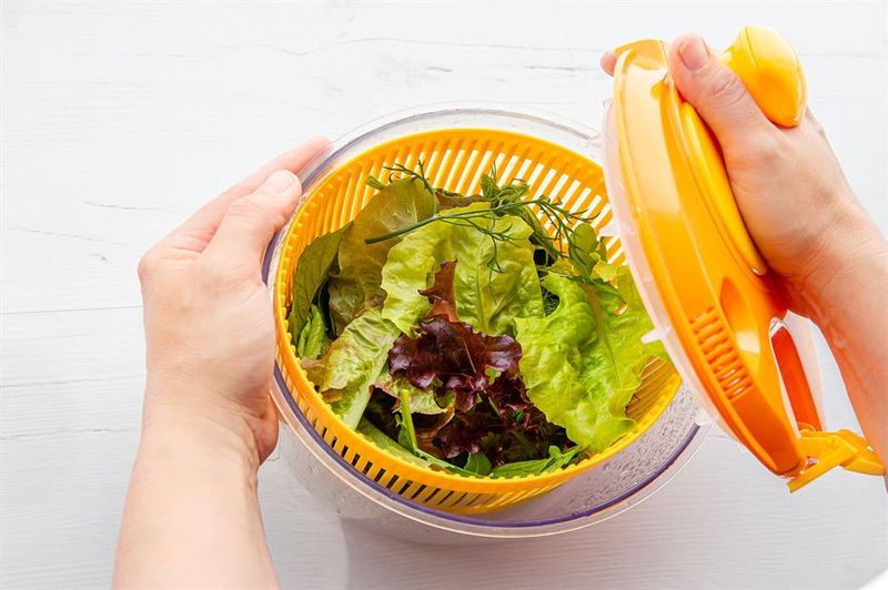 The Salad Spinner