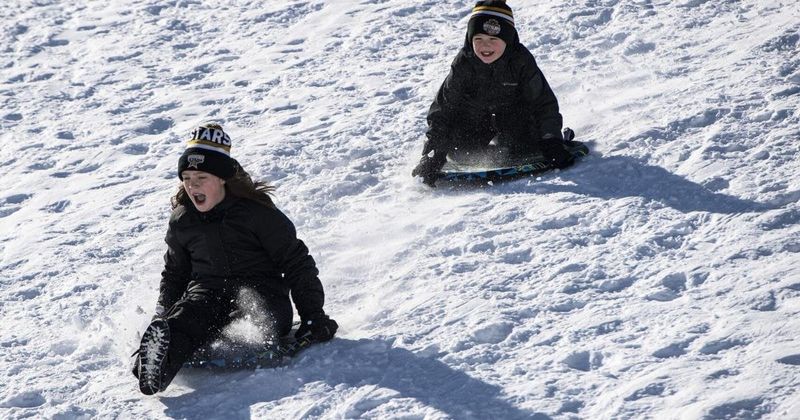 Sledding Down Traffic-Adjacent Hills