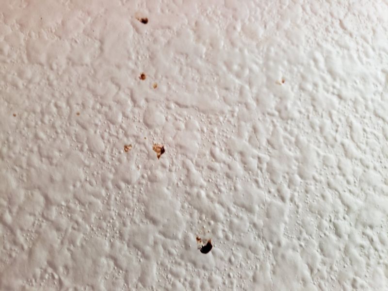 Mysterious Stains Of Unknown Origin