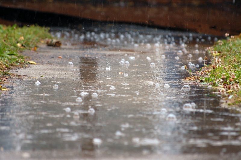 Rain on Hot Pavement