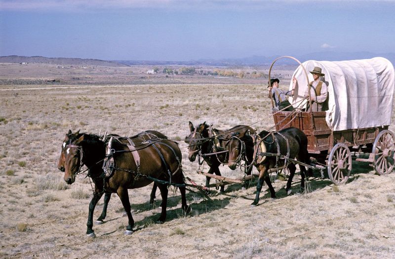 Prairie Schooner: The Covered Wagon