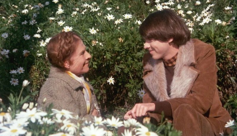 Harold and Maude (1971)